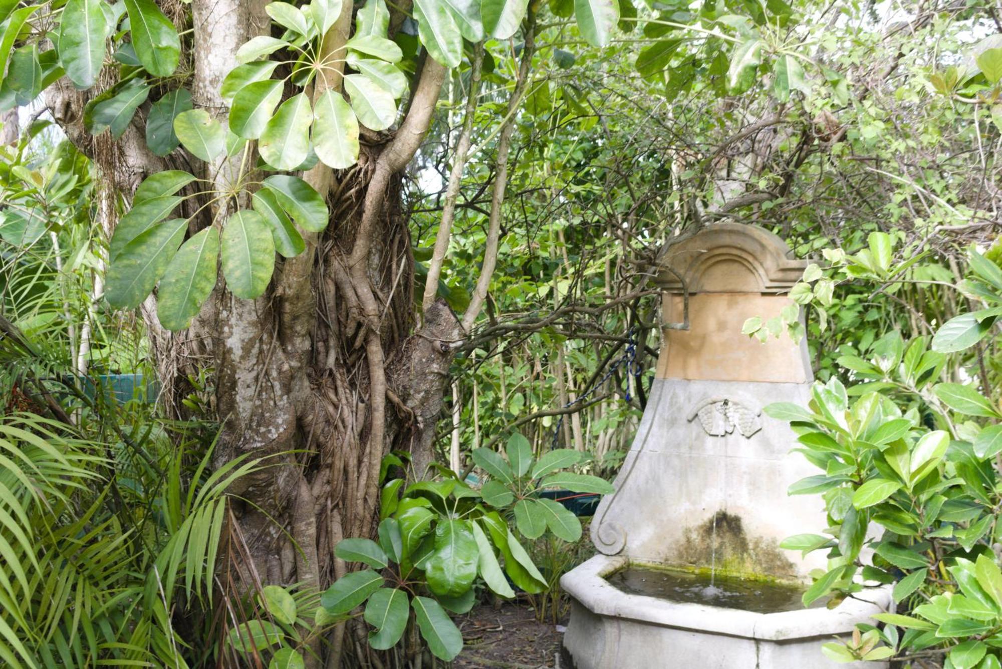 The Caribbean Court Boutique Hotel Vero Beach