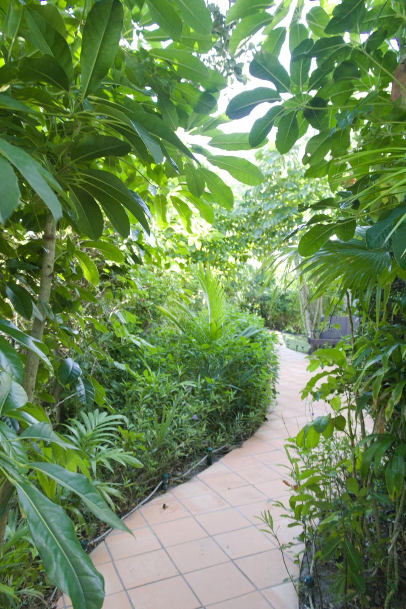 The Caribbean Court Boutique Hotel 3*