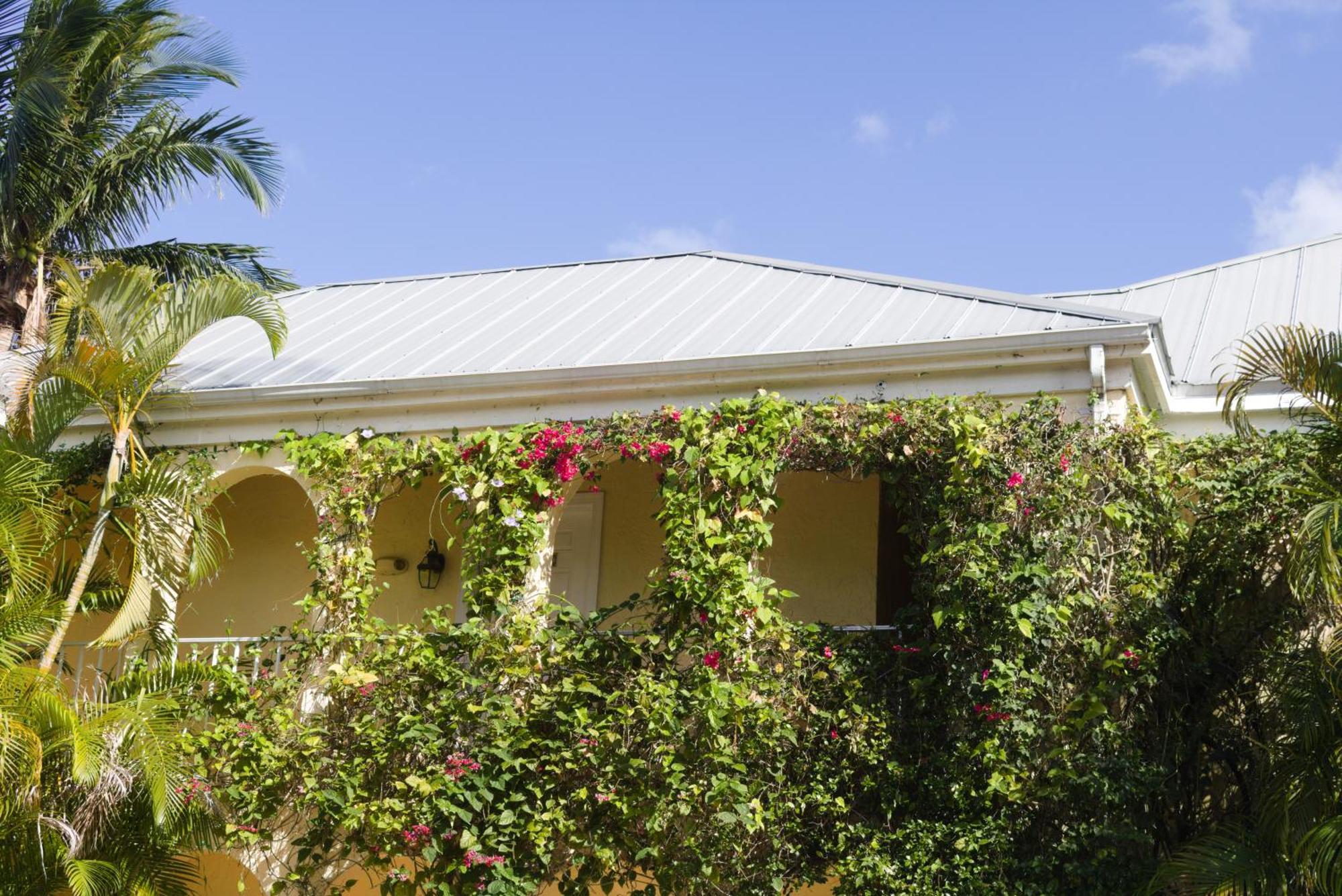 The Caribbean Court Boutique Hotel 3*