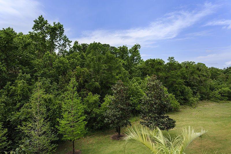 Reunion Whisper Way Deluxe. * Kissimmee
