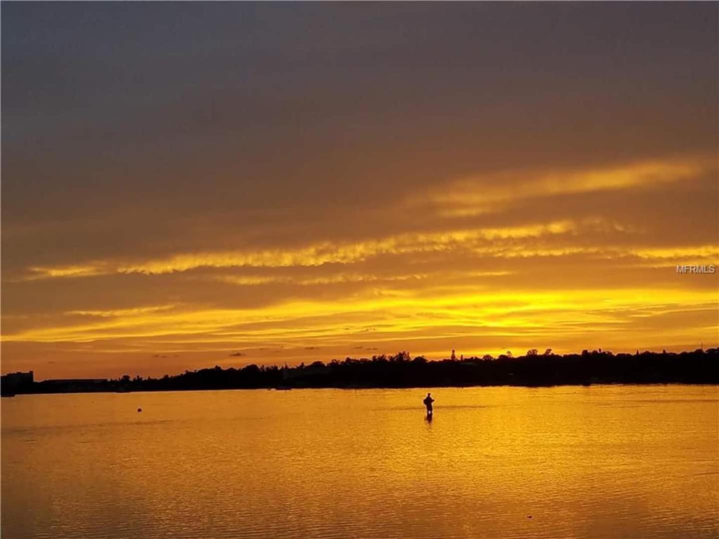 Relaxing Secluded Beachfront Paradise In Gulfport * St. Petersburg