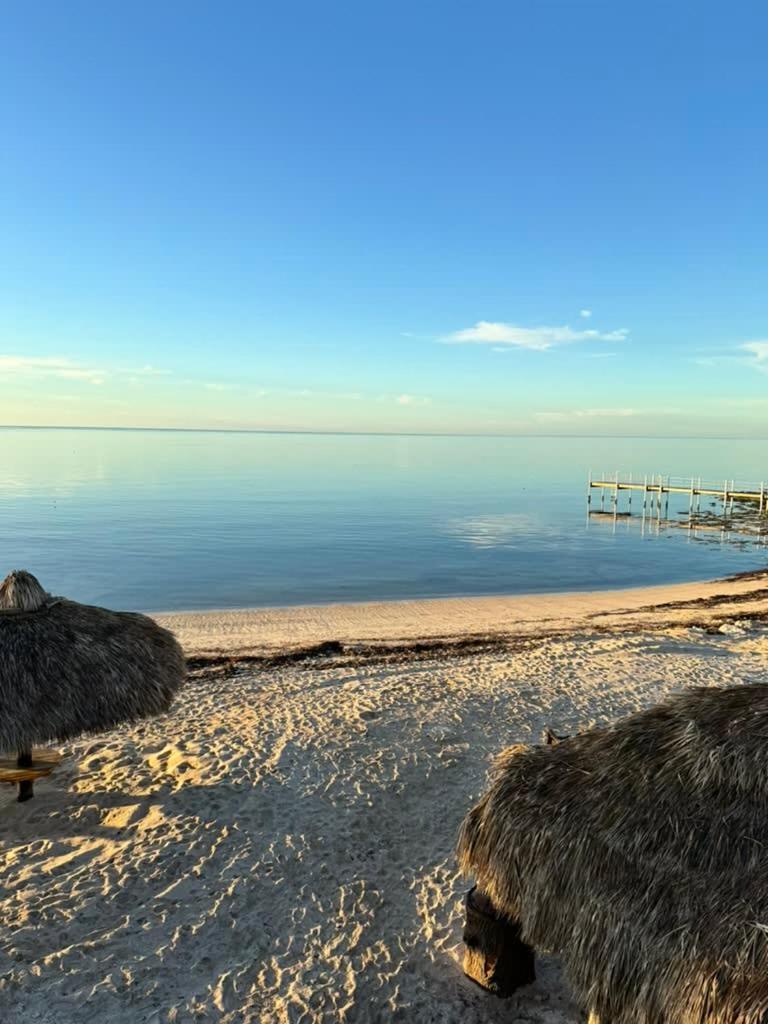 Ocean Depth At Barnacle * Big Pine Key