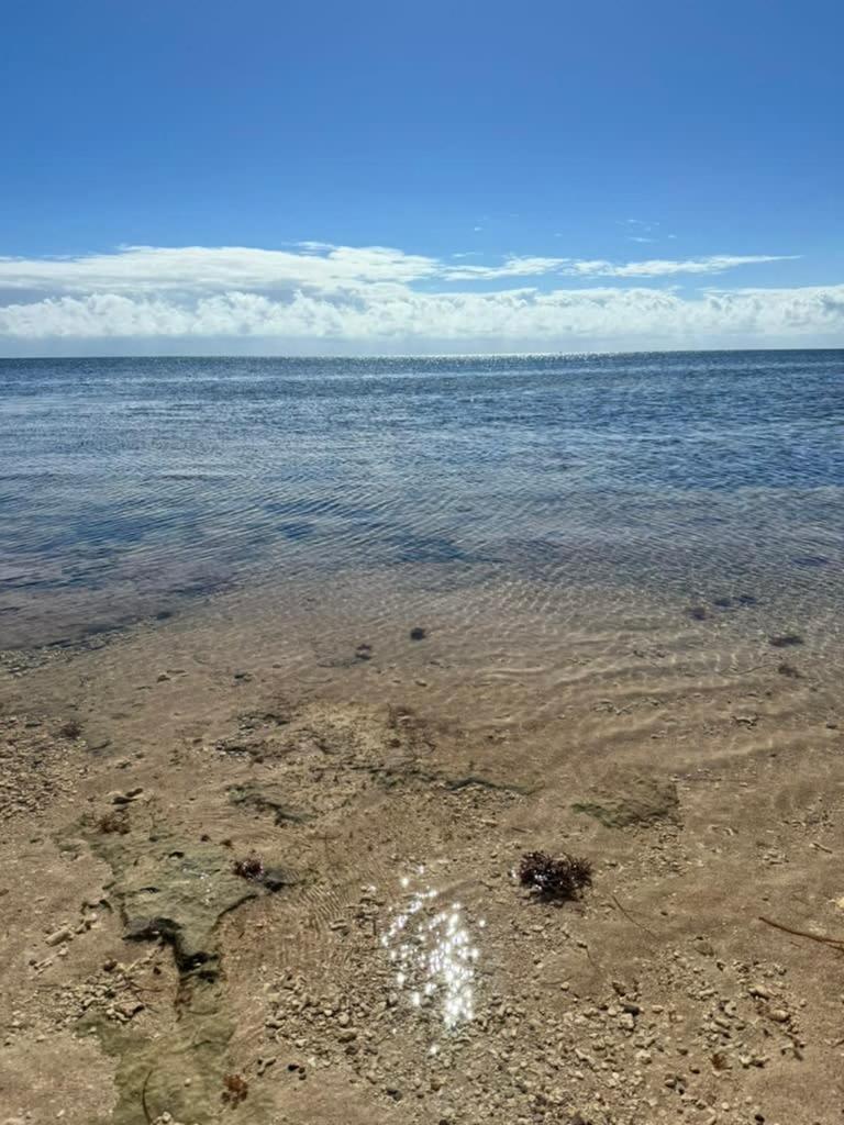 Apartment Ocean Depth At Barnacle *