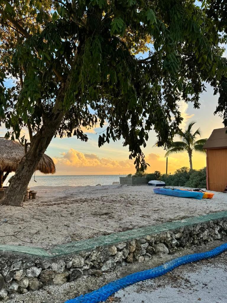 Apartment Ocean Depth At Barnacle Big Pine Key