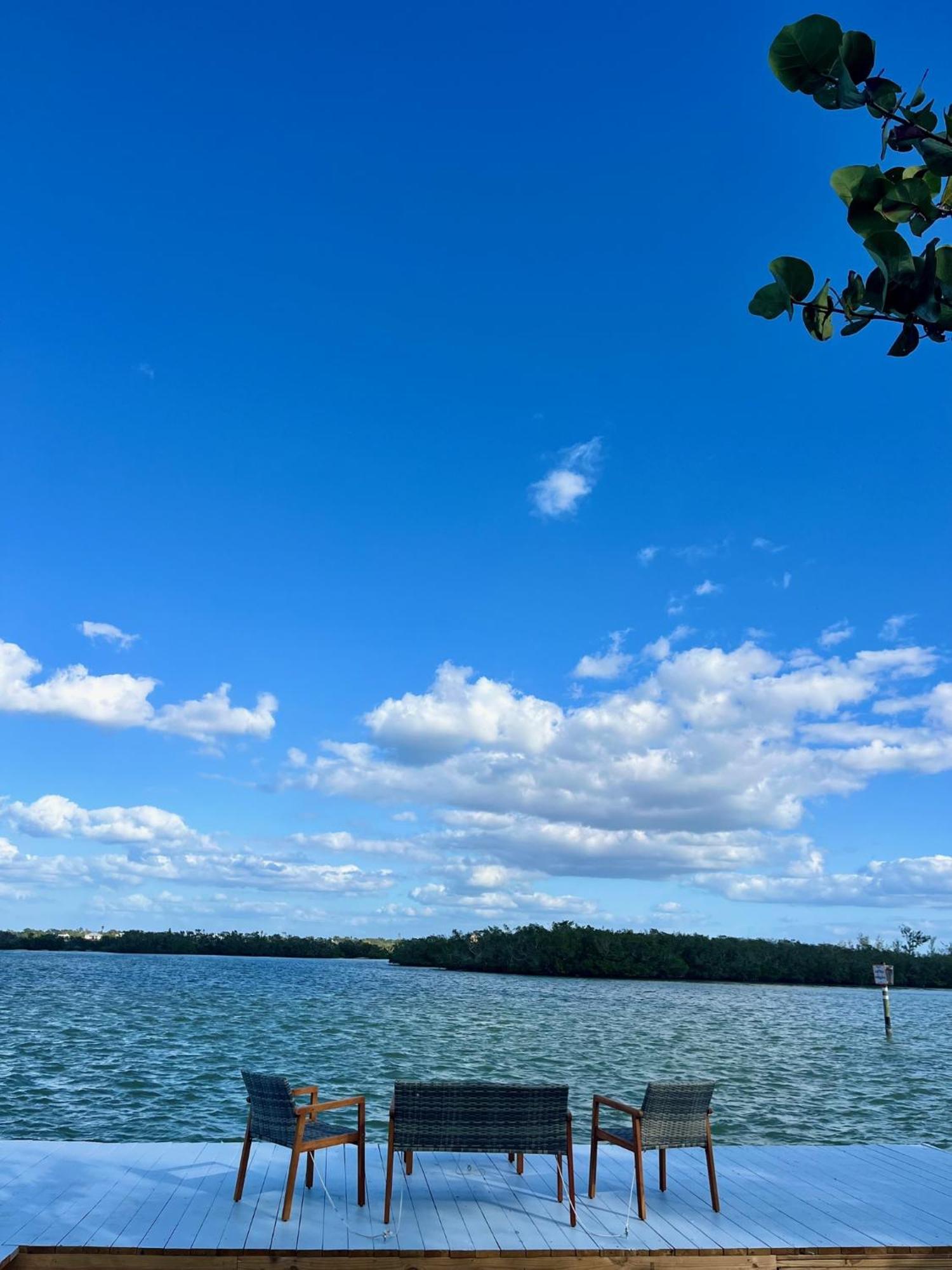 Turtle Siesta Key