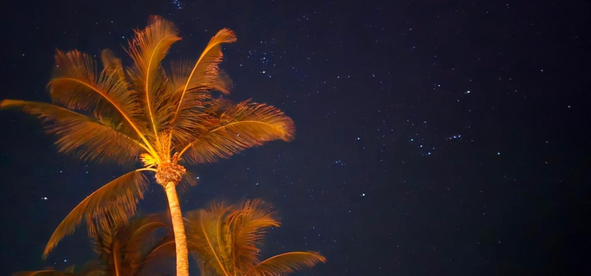 Paradise Awaits At Key Colony Aparthotel