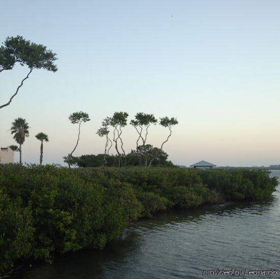 Tradewinds By Resortquest
