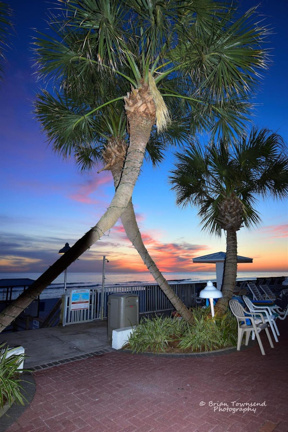 Hotel Palmetto Beachfront Resort, A By The Sea 4*