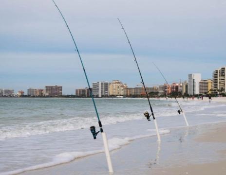 Oceanfront On The * Marco Island