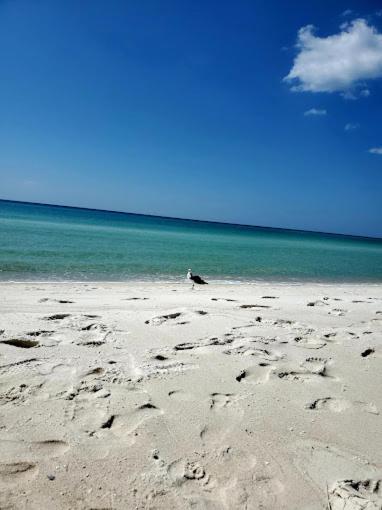 Hotel Palmetto Beachfront Resort, A By The Sea 4*