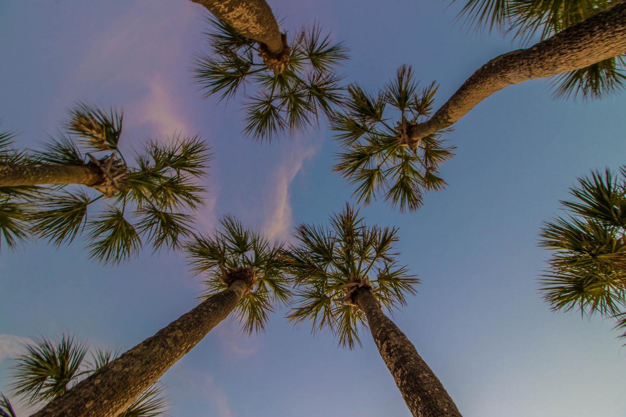Palm Gables 106 *