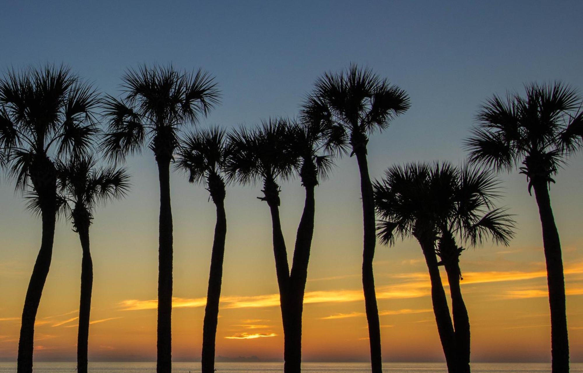 Apartment Palm Gables 106