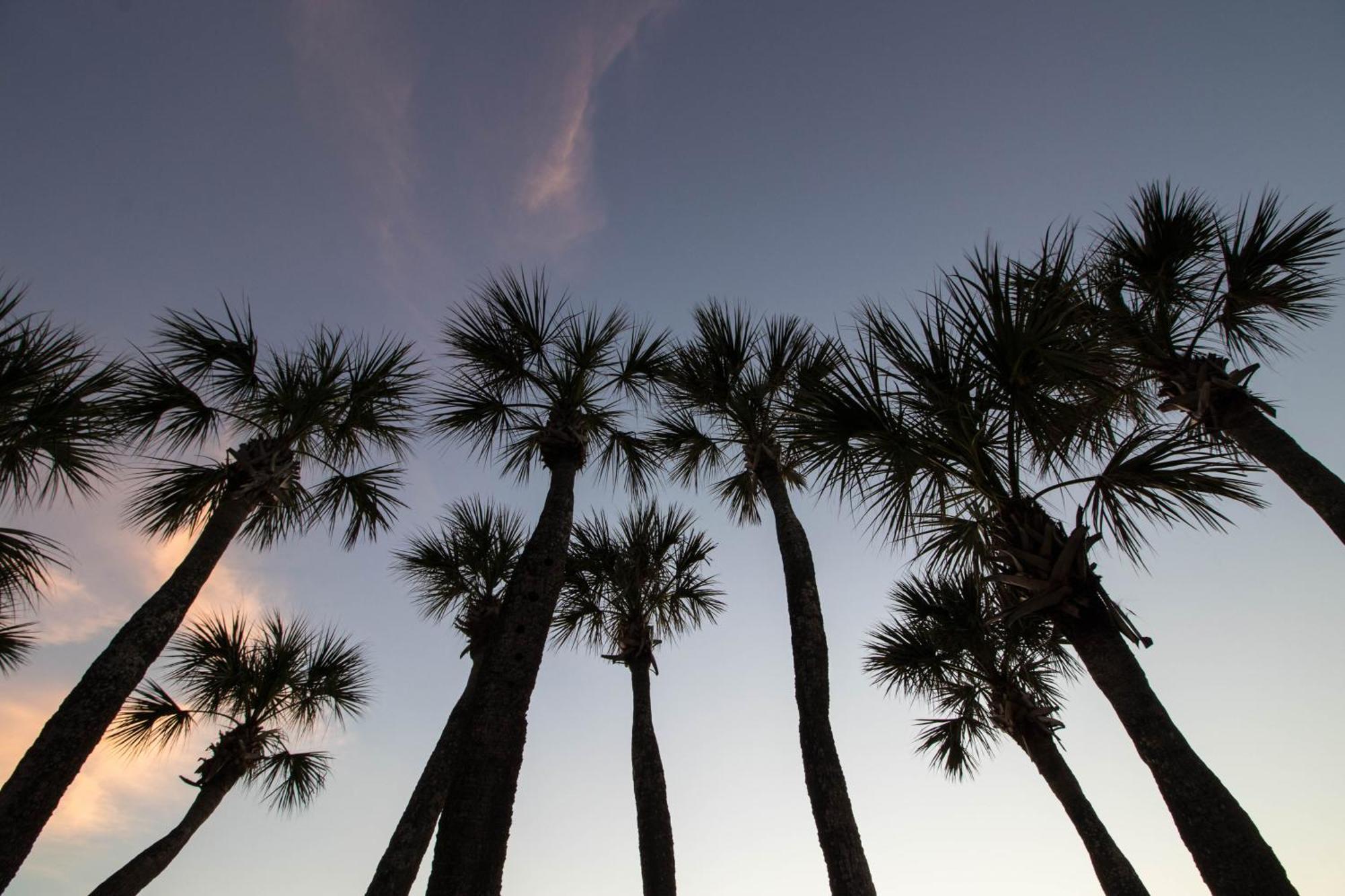 Palm Gables 106 * Holmes Beach