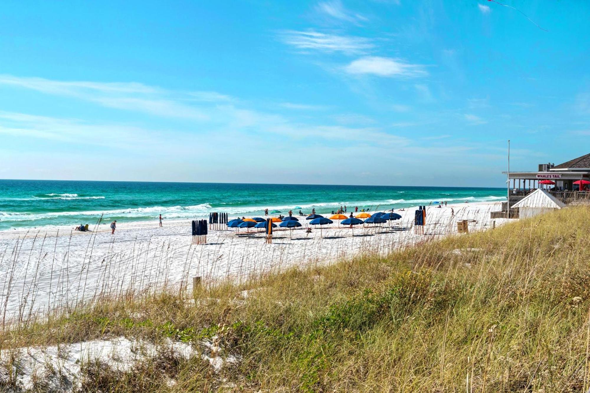 Ariel Dunes I 1001 * Destin