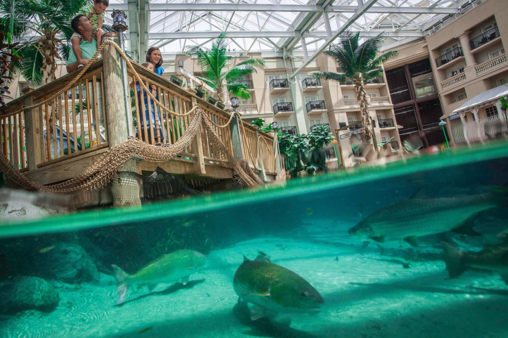 Resort Gaylord Palms & Convention Center
