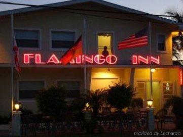 Flamingo 2*