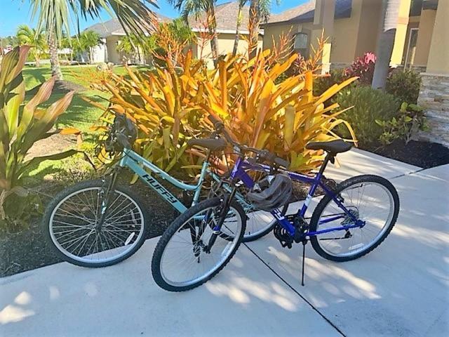 Private Oasis! Electric-heated Pool - Perfect For Families! - Barbossa Cape Coral