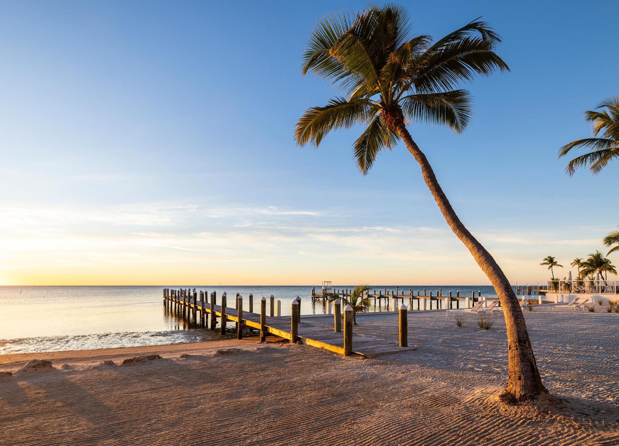 Pines & Palms 3*