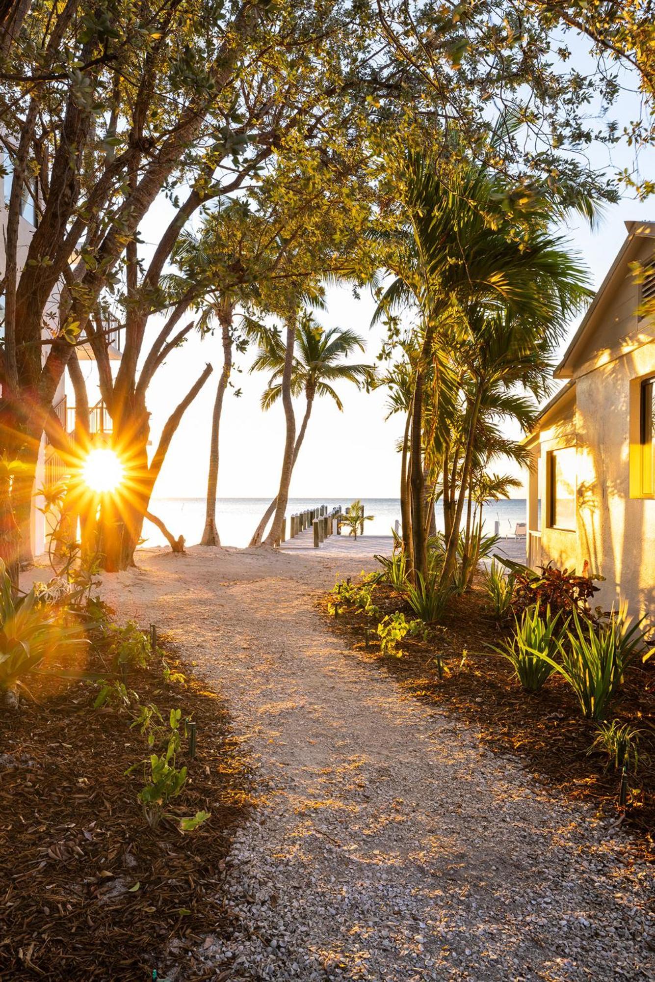 Pines & Palms Resort 3*