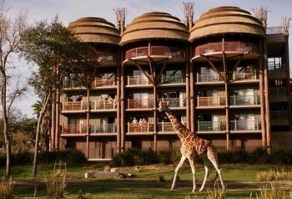 Disney's Animal Kingdom