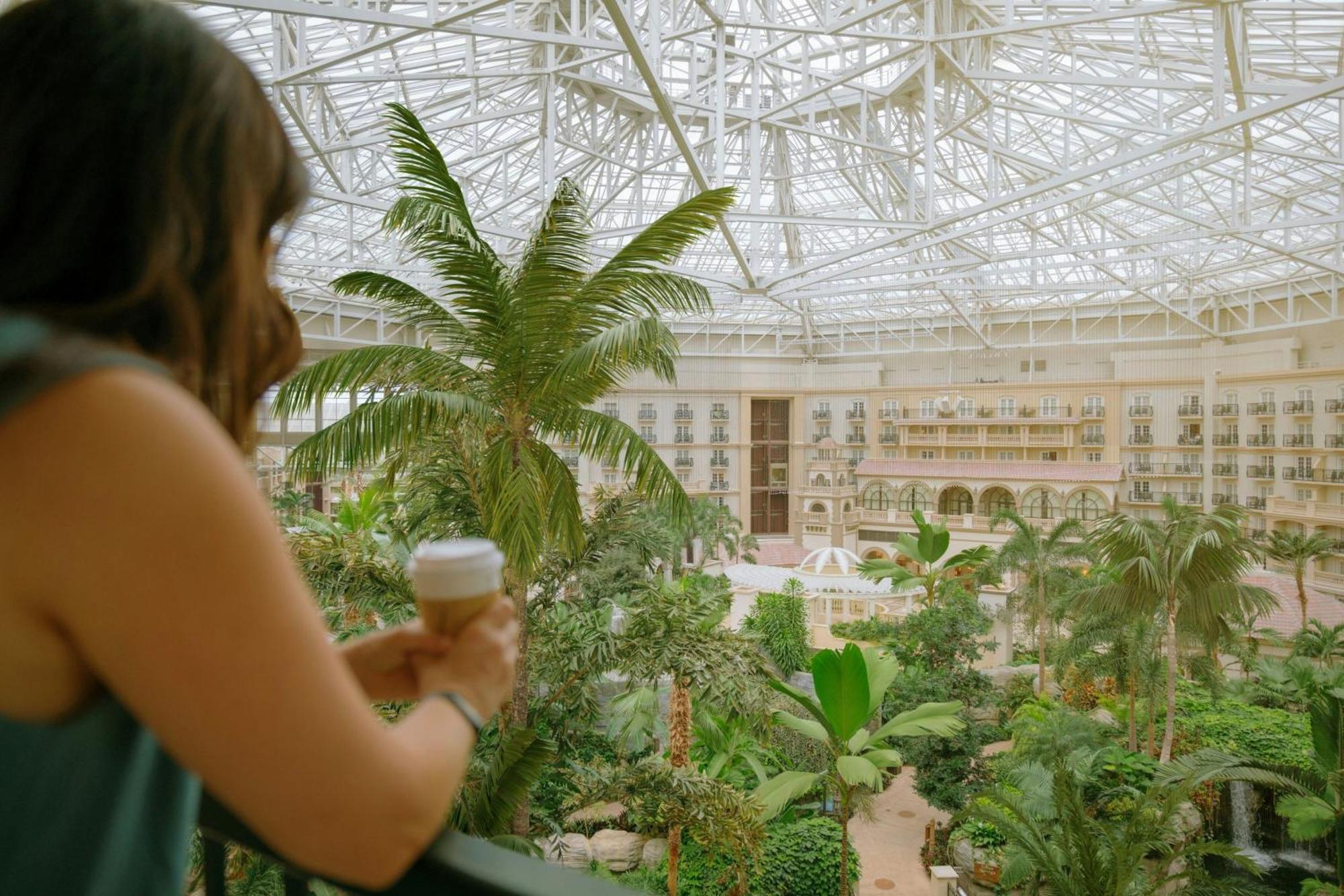 Gaylord Palms & Convention Center Resort Celebration