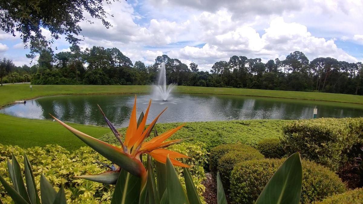 Spectacular View - Game Room- Close To Kissimmee