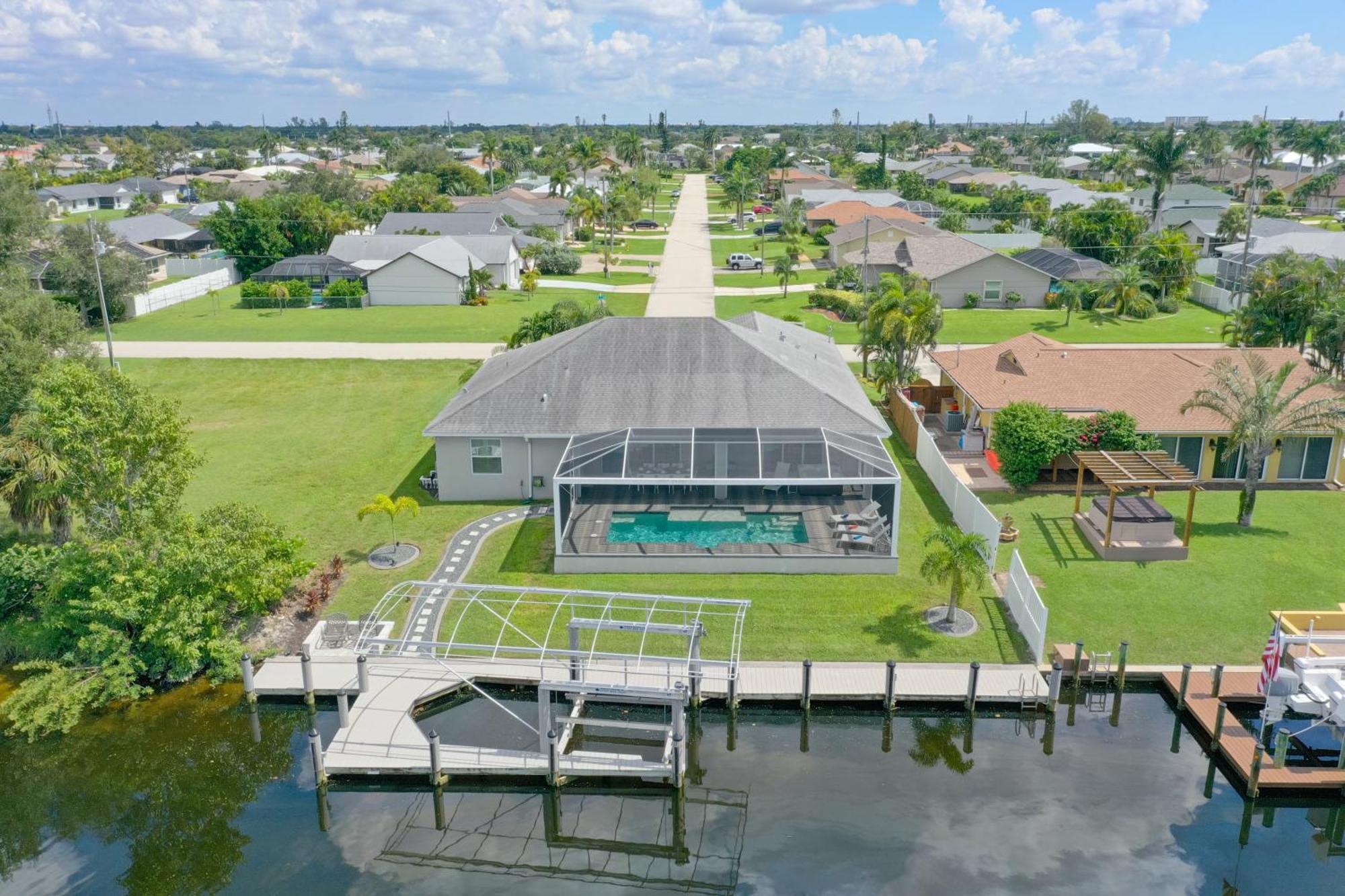 Dandelion Cape Coral