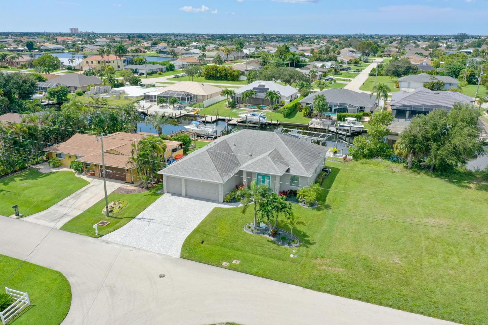 Dandelion * Cape Coral
