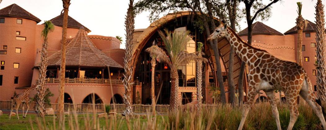 Disney's Animal Kingdom - Kidani Village Hotel