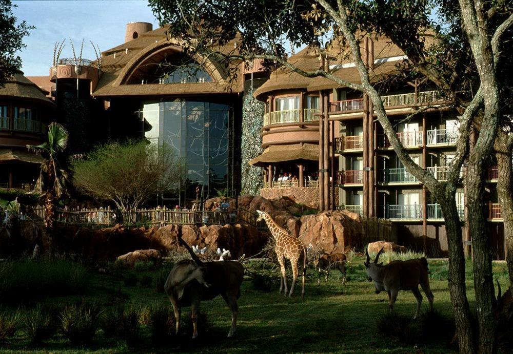 Disney's Animal Kingdom - Kidani Village 4* Lake Buena Vista
