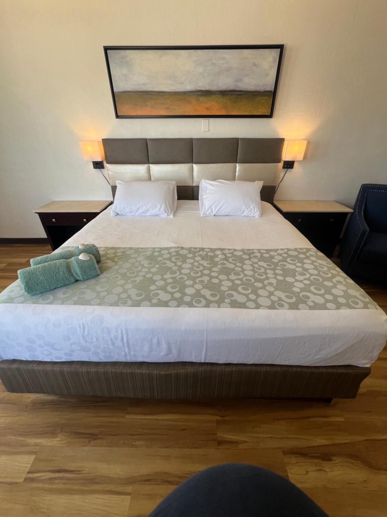 Inn Flamingo Beachfront - Daytona