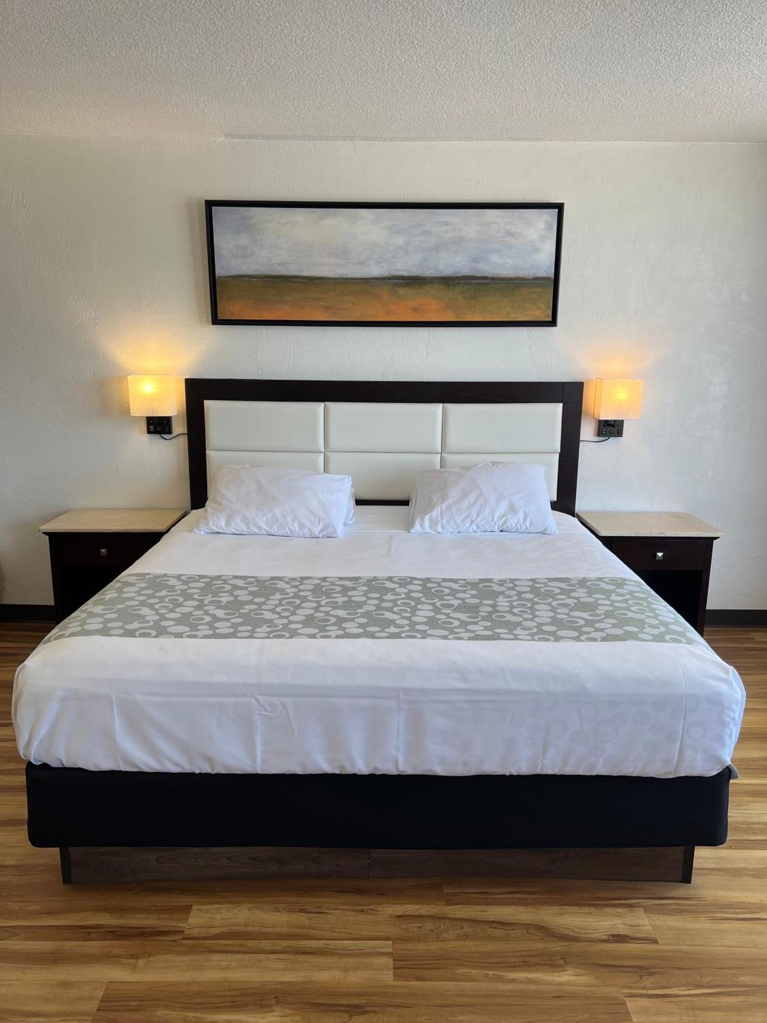 Inn Flamingo Beachfront - Daytona Daytona Beach