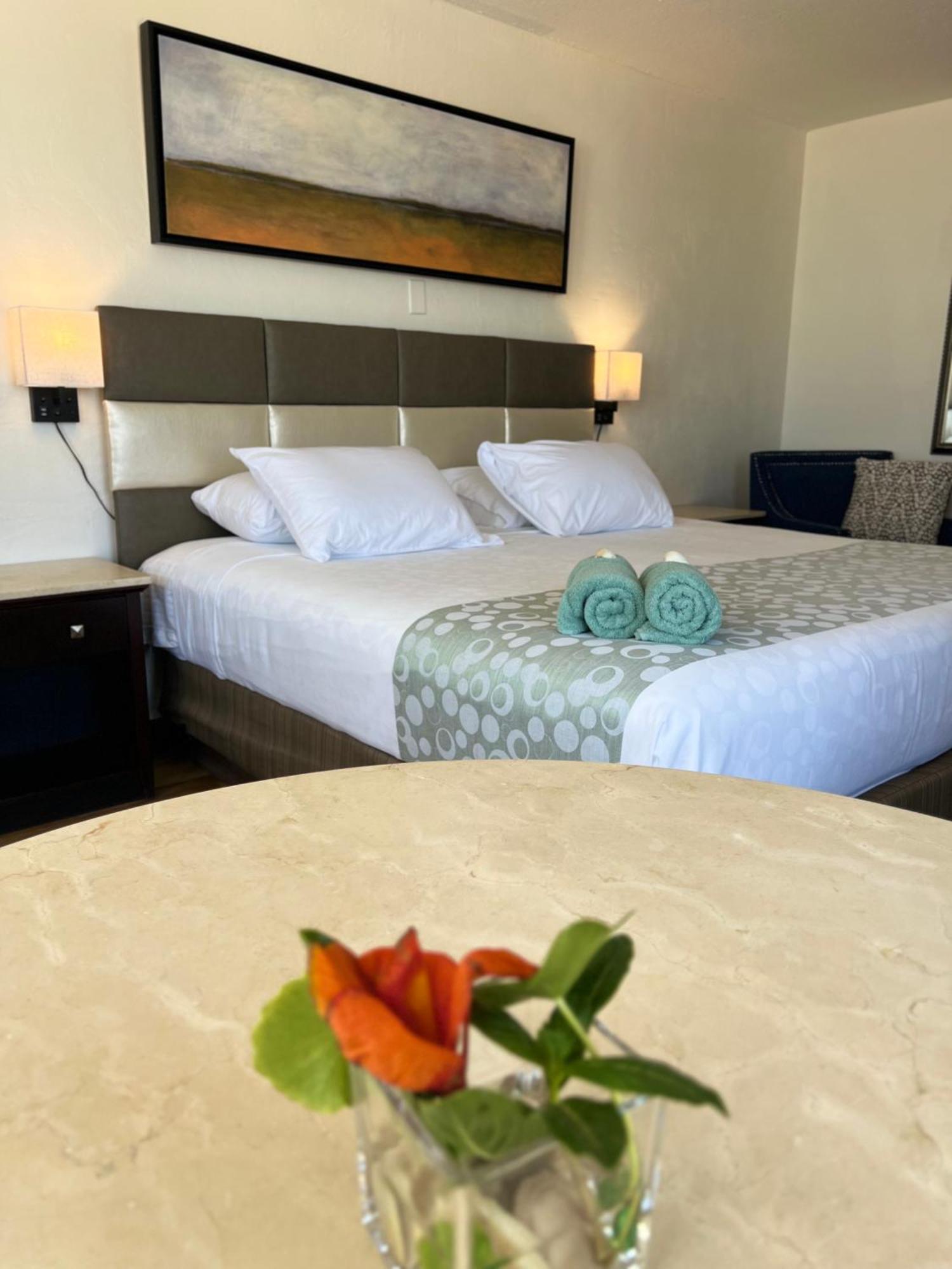 Flamingo Beachfront - Daytona Inn Daytona Beach