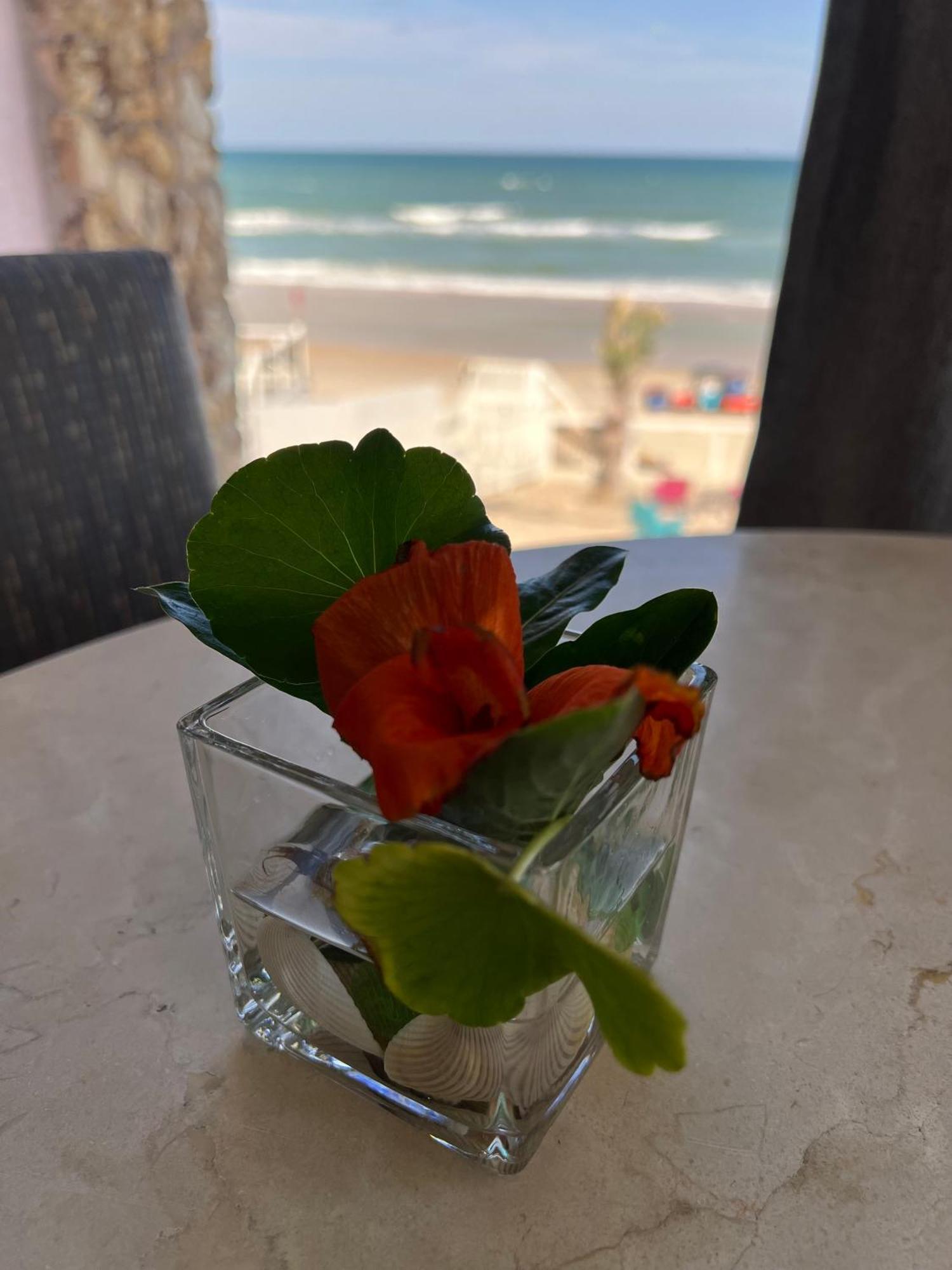 Inn Flamingo Beachfront - Daytona Daytona Beach