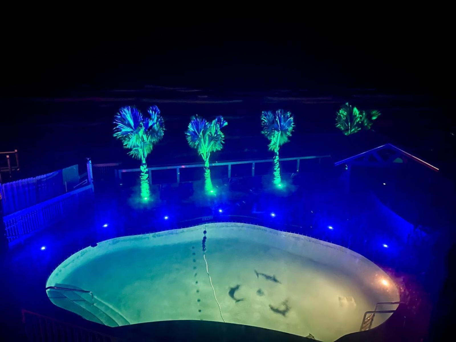 Flamingo Beachfront - Daytona
