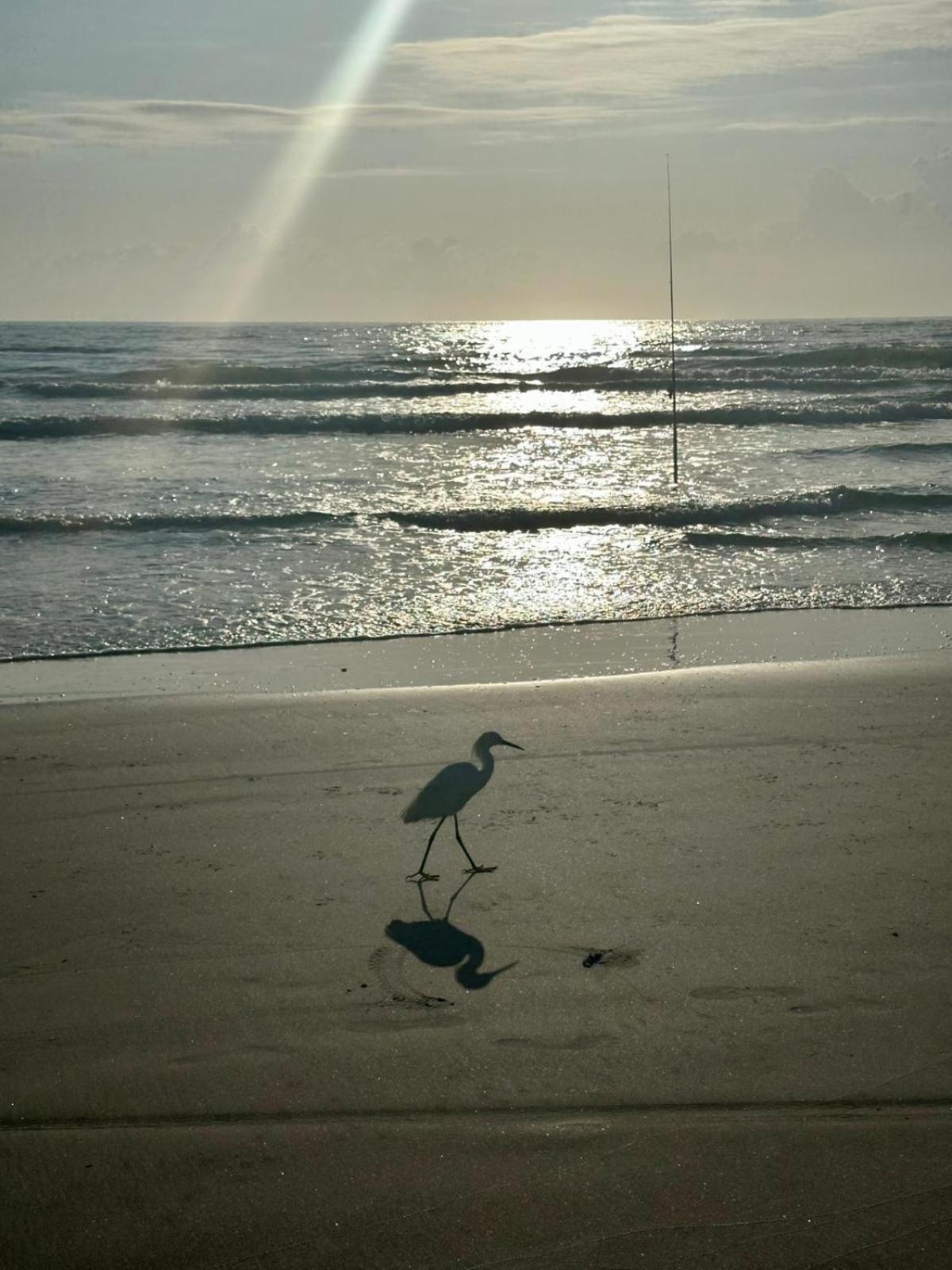 Flamingo Beachfront - Daytona Inn 2*