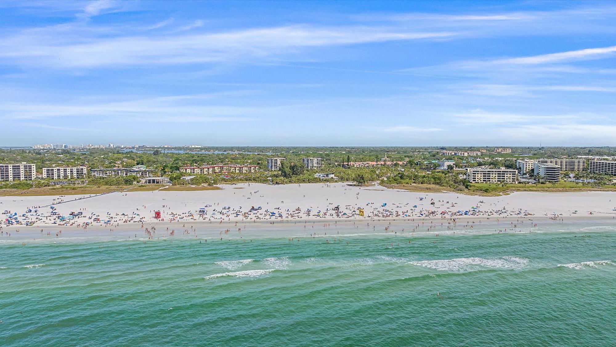 Hawks Sea Nest * Siesta Key
