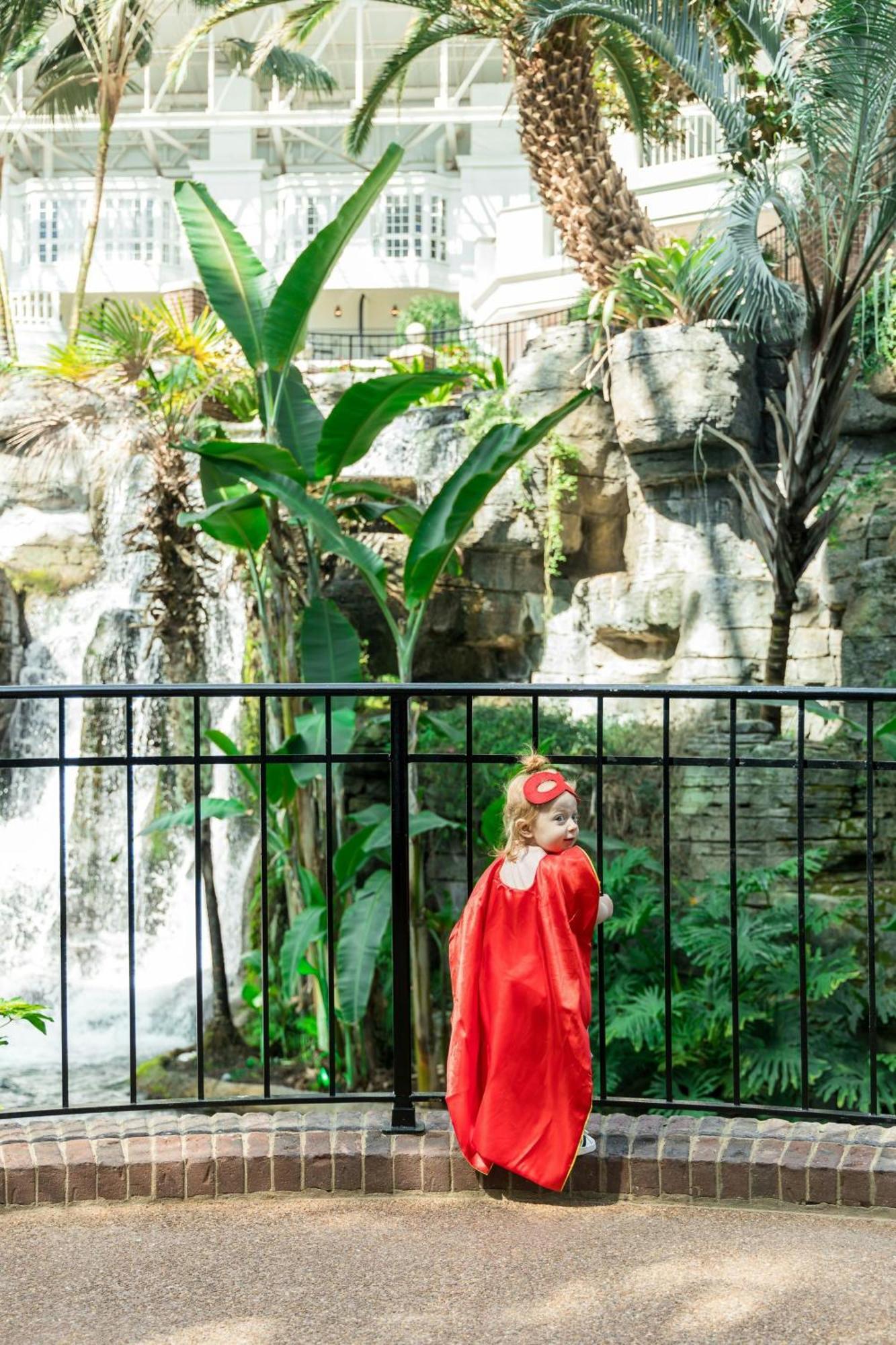 Resort Gaylord Palms & Convention Center Celebration