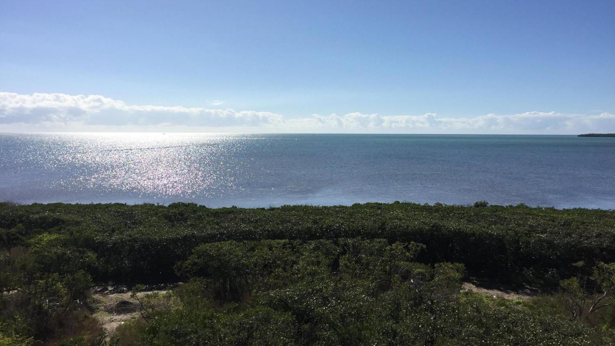 4409 Ocean Pointe Apartment