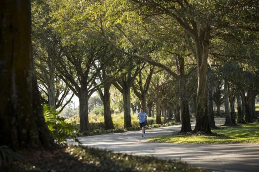 Of Grand Cypress 4* Lake Buena Vista