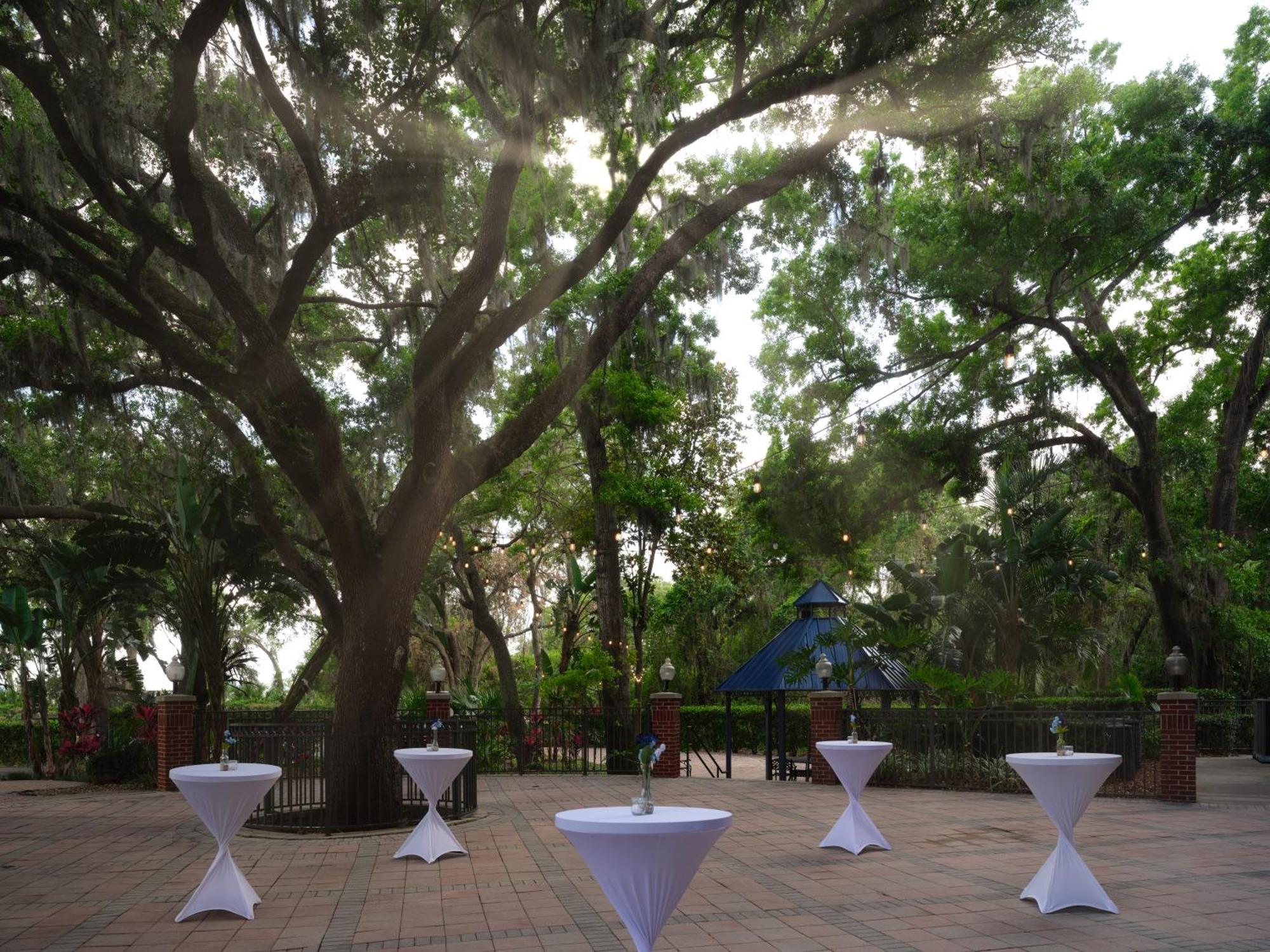 Hilton Garden Tampa East Brandon Hotel