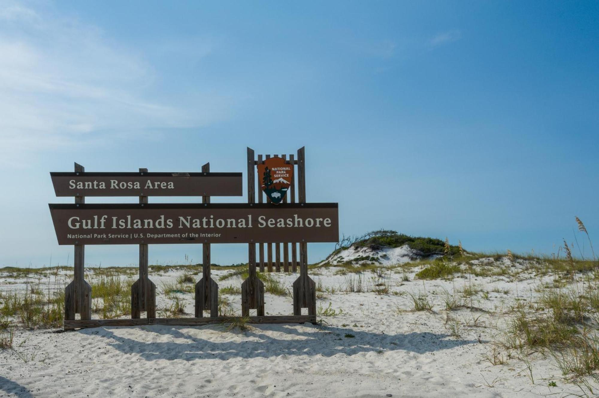 Seas The Day Navarre