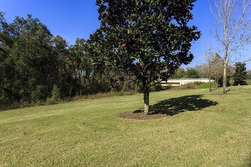 Reunion Whisper Way Deluxe. Holiday home