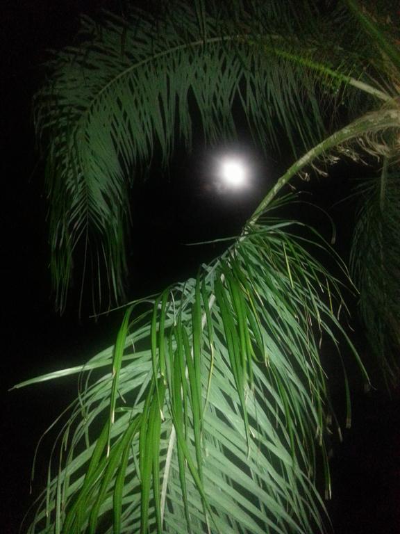 Angel's Haven Villa Cape Coral