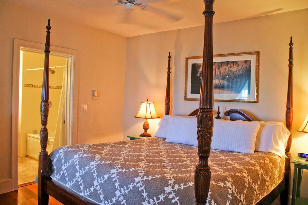 Night Swan Intracoastal