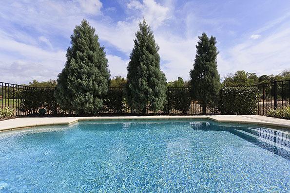 Pool On Reunion 110 Villa *