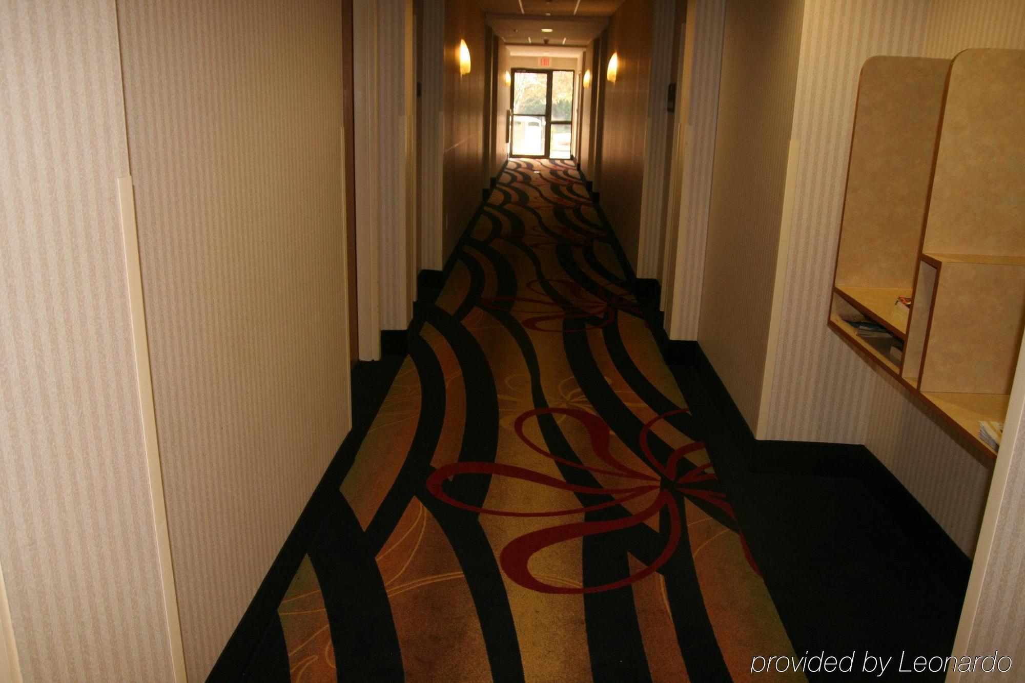 Express & Tampa-anderson Road-veterans Exp By Ihg 2*