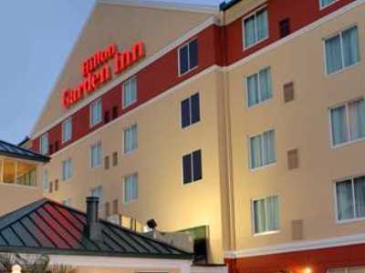 Hilton Garden Tampa Northwest/oldsmar Hotel Oldsmar