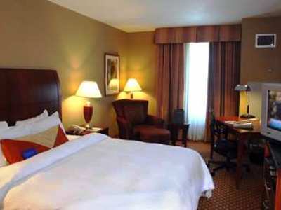 Hilton Garden Tampa Northwest/oldsmar 3* Oldsmar