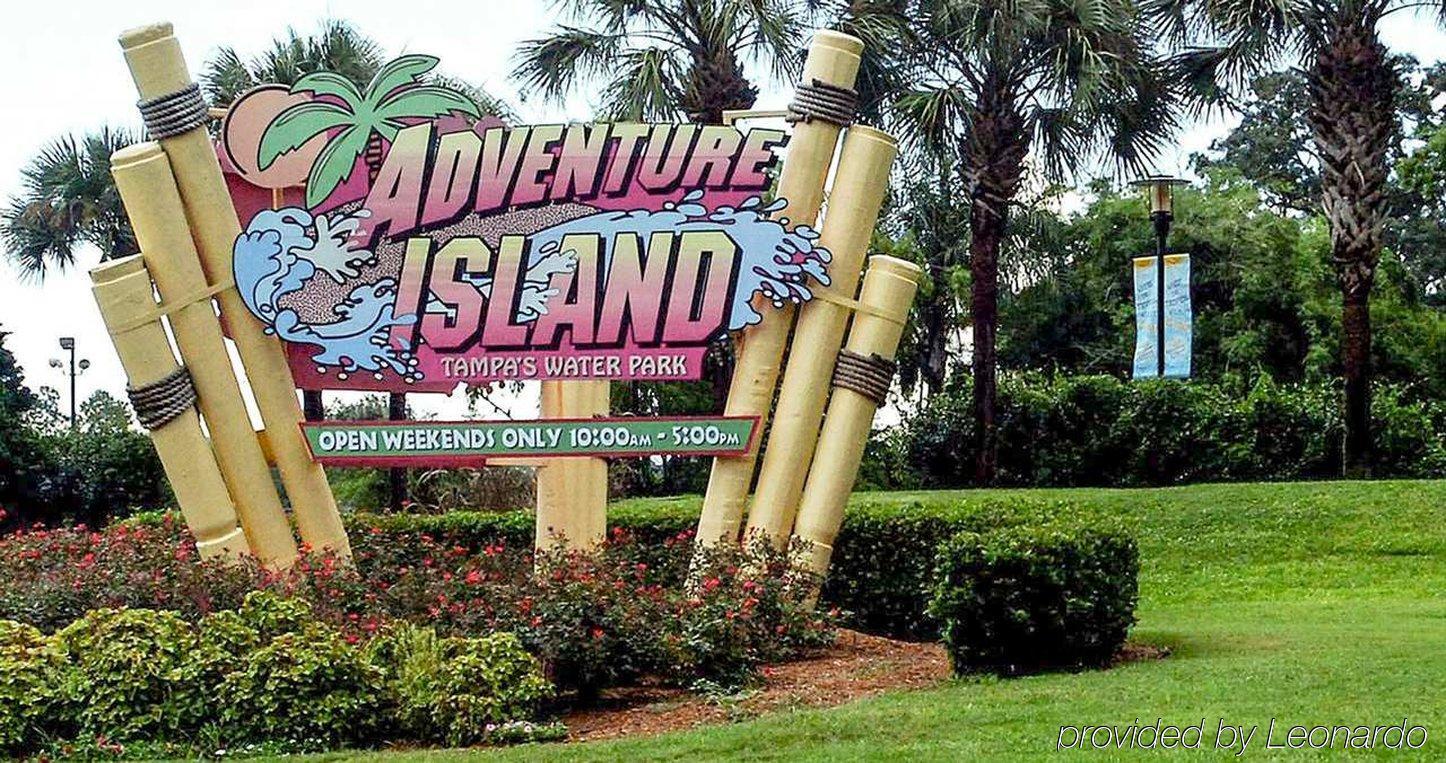 Hotel Hilton Garden Airport/westshore Tampa